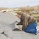 roof damage covered by insurance